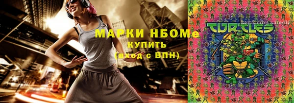 mdpv Бородино