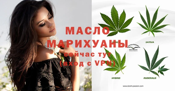 mdpv Бородино