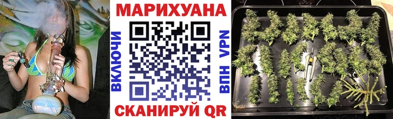 Канабис семена  как найти наркотики  Муравленко 